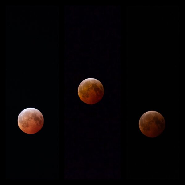 Blood Moon