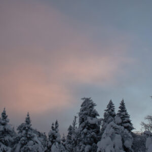 Winter three