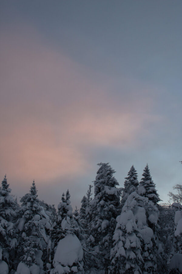 Winter three