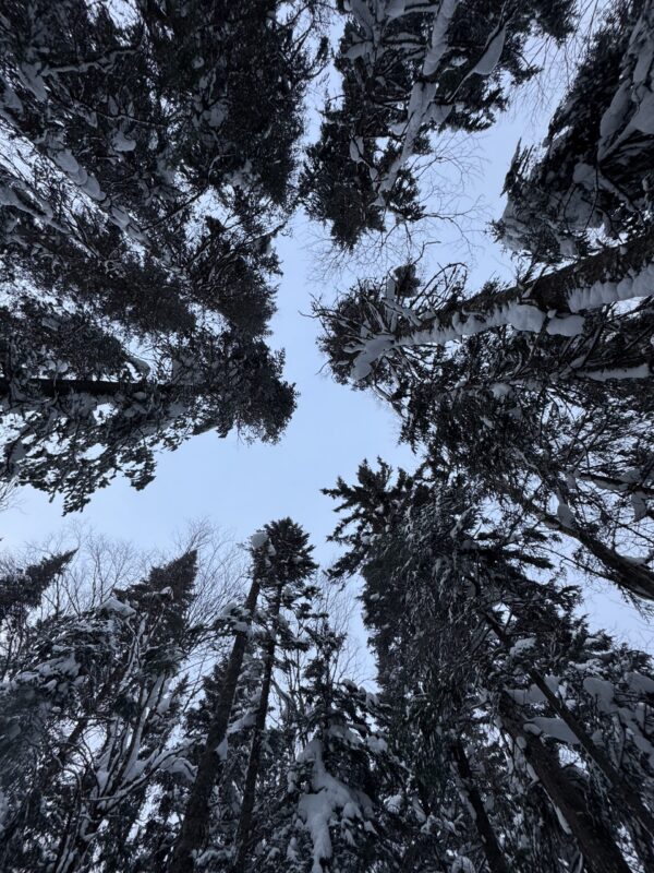 Three