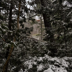 hidden bridge