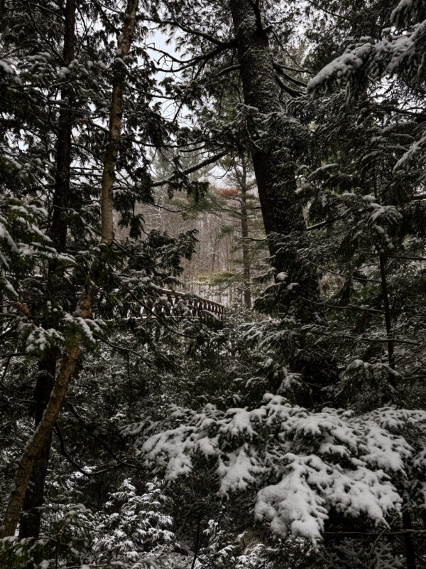 hidden bridge