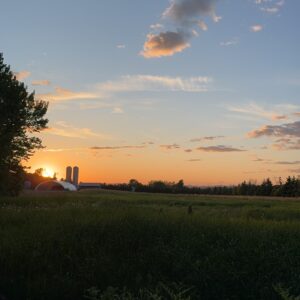 field view