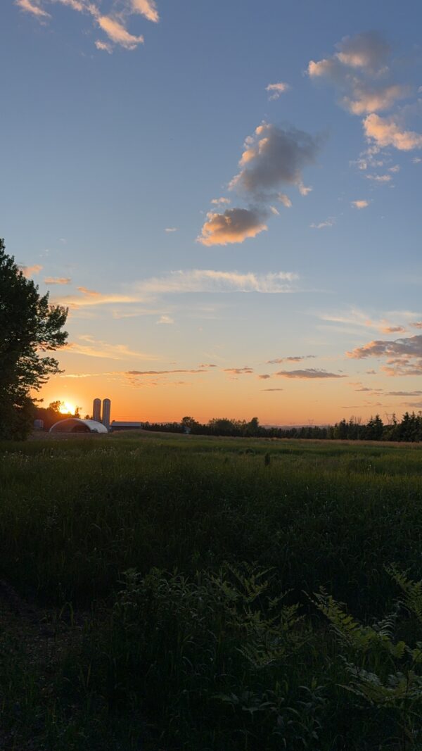 field view
