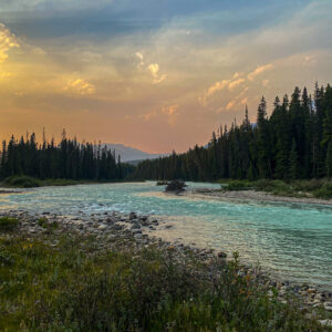 Bow river (again)