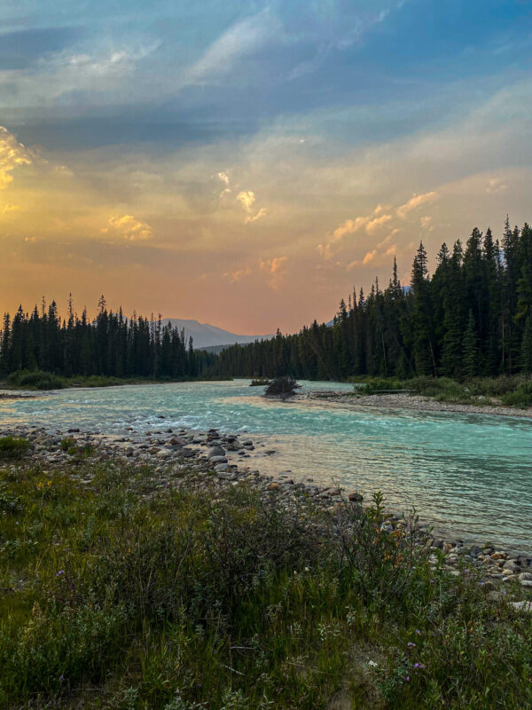 Bow river (again)