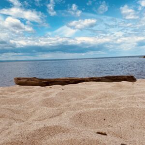 driftwood