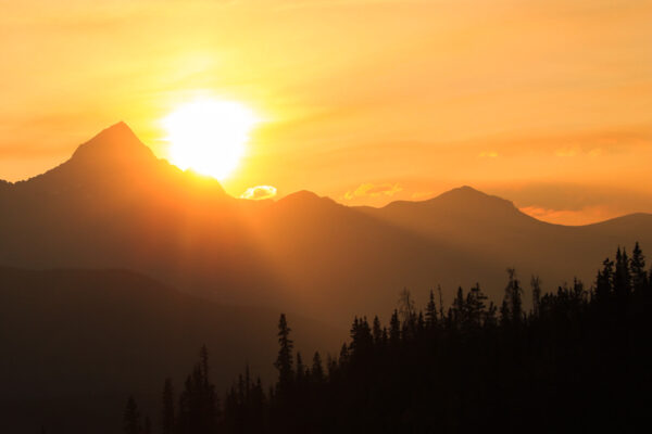 Bright sun